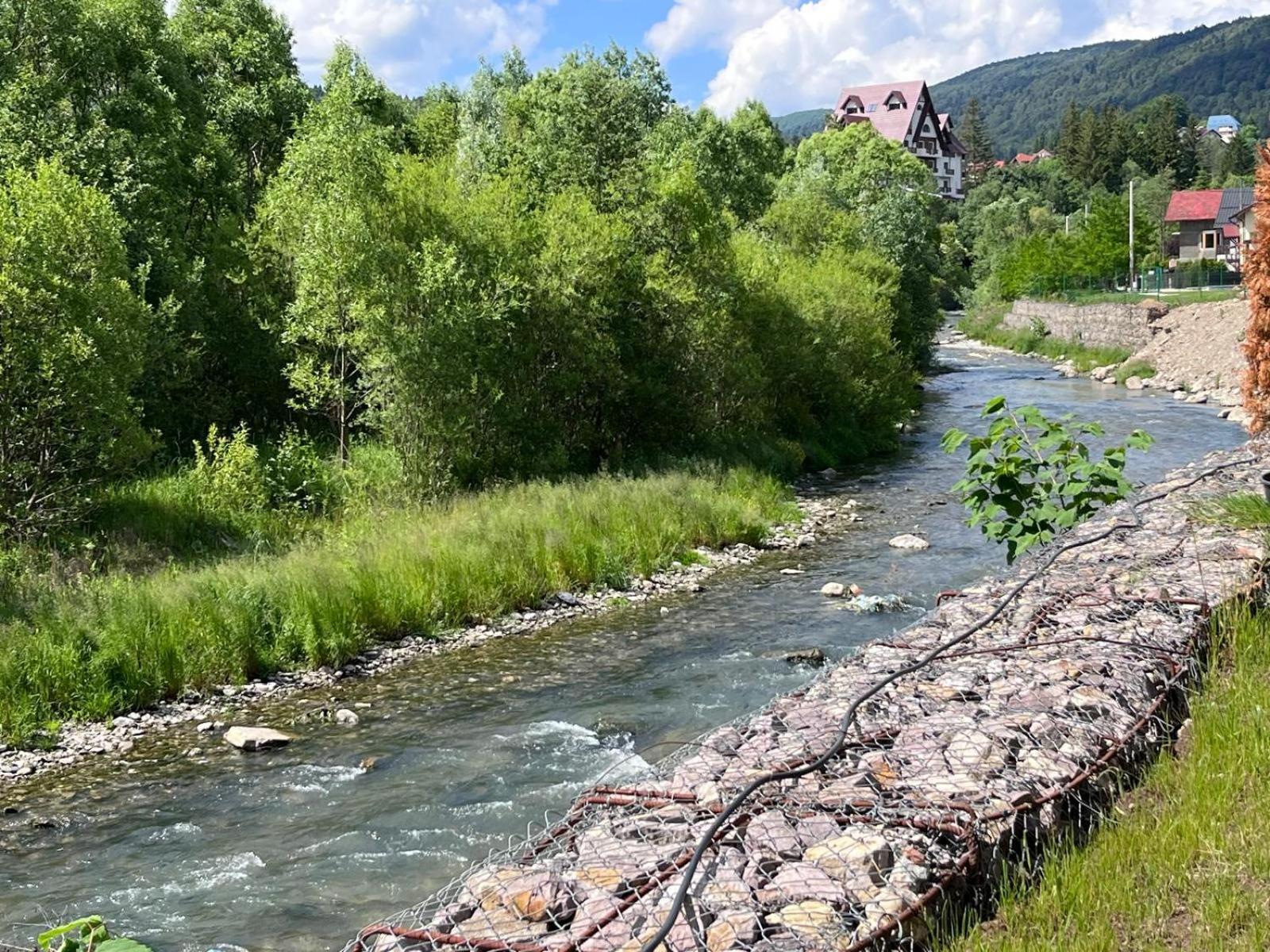 Cozy Riverfront Apartments With Garden And Mountain View Busteni Exterior photo